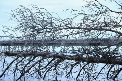 Nature Stock Photos