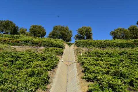 Nature 스톡 사진