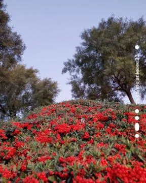 Nature 스톡 사진