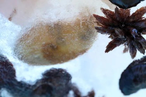 Nature Stock Photos