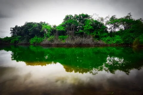 Nature Stock Photos