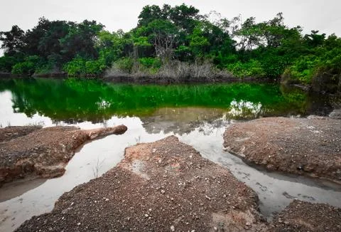 Nature Stock Photos