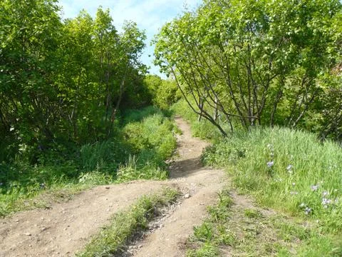 Nature Foto stock