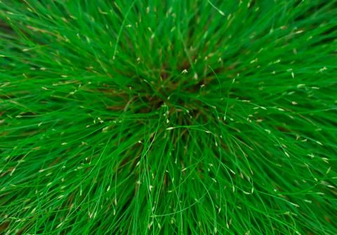 Nature Stock Photos