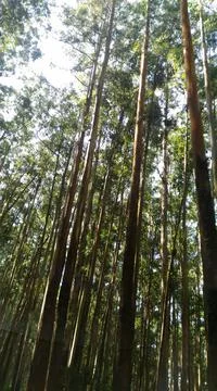 Nature Stock Photos
