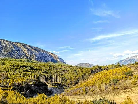 Nature Stock Photos