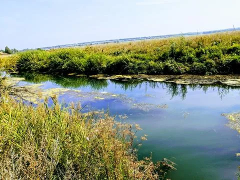 Nature 스톡 사진