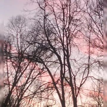 Nature Stock Photos