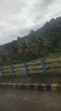 Nature 스톡 사진