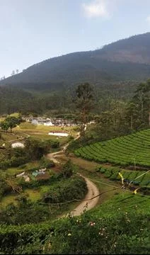 Nature 스톡 사진