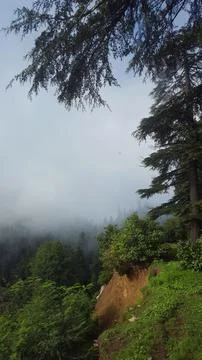 Nature Stock Photos
