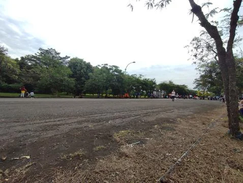 Nature 스톡 사진