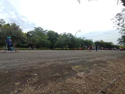 Nature 스톡 사진