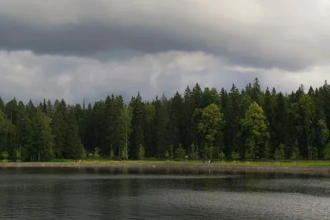 Nature Foto stock