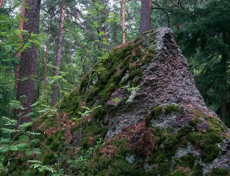 Nature Stock Photos