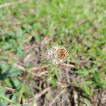 Nature 스톡 사진