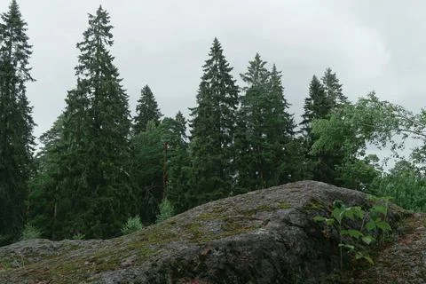 Nature Stock Photos