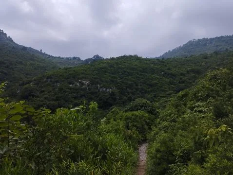 Nature Stock Photos