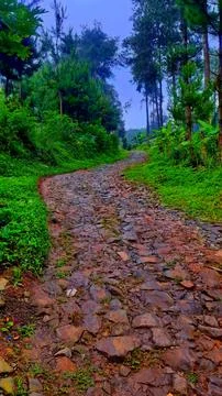 Nature 스톡 사진