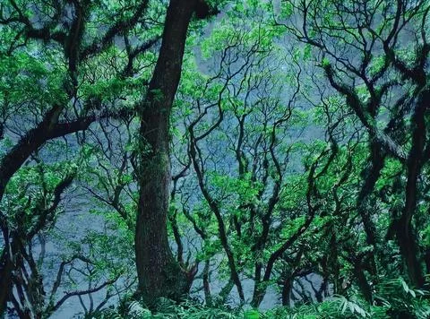 Nature 스톡 사진