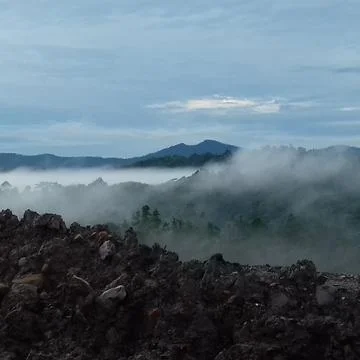 Nature 스톡 사진