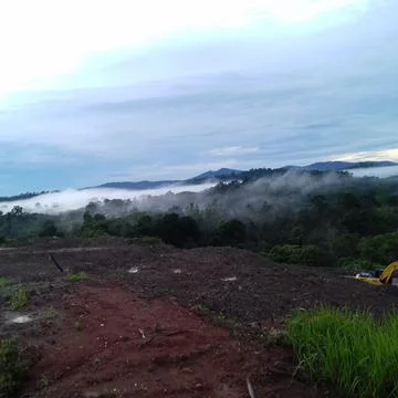 Nature 스톡 사진