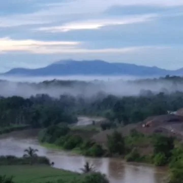 Nature 스톡 사진