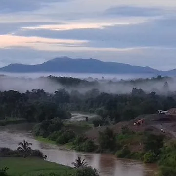 Nature 스톡 사진