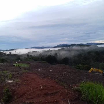 Nature 스톡 사진