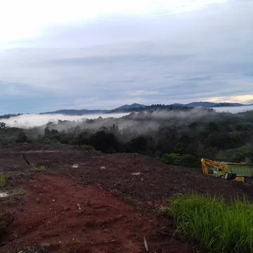 Nature 스톡 사진