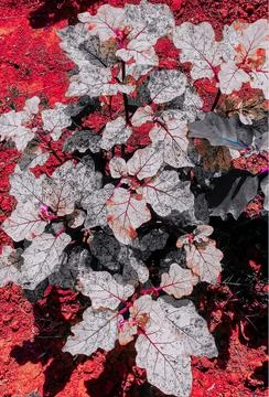 Nature 스톡 사진