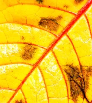 Nature 스톡 사진