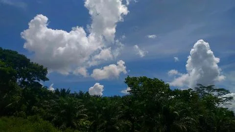 Nature Stock Photos
