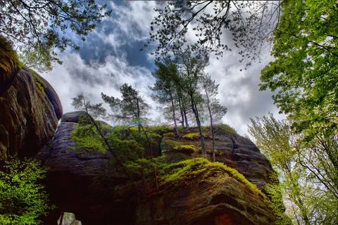 Nature Foto stock