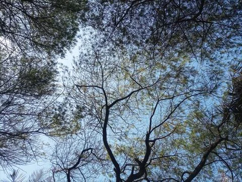 Nature Foto stock