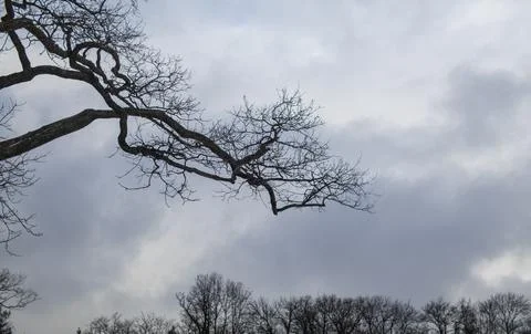 Nature Stock Photos