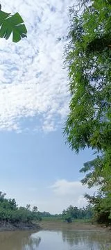 Nature 스톡 사진