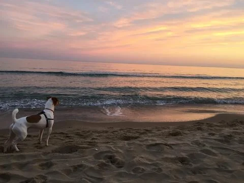 Nature 스톡 사진