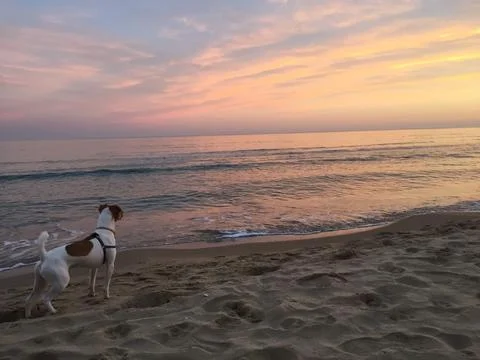 Nature 스톡 사진