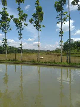 Nature Fotos de archivo