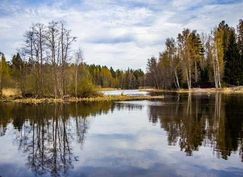 Nature Stock Photos