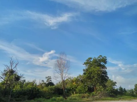 Nature Stock Photos