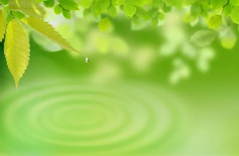 Nature Stock Photos