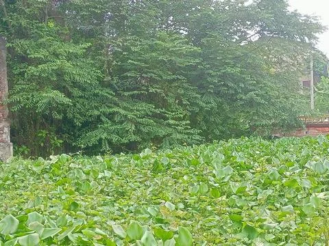 Nature Stock Photos