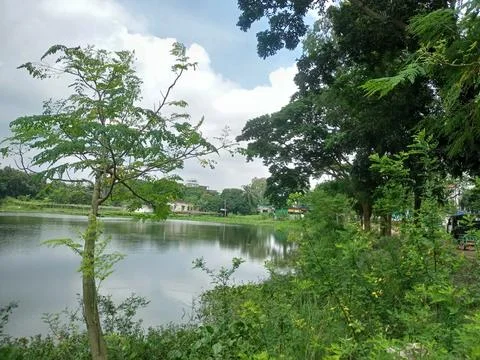 Nature Stock Photos