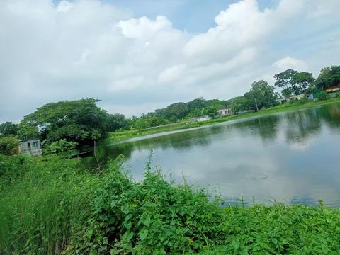 Nature Stock Photos