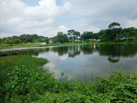 Nature Stock Photos