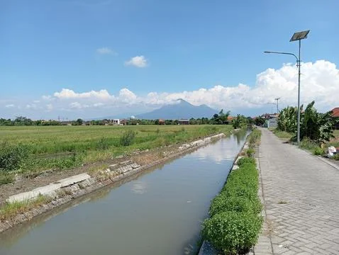 Nature Fotos de archivo