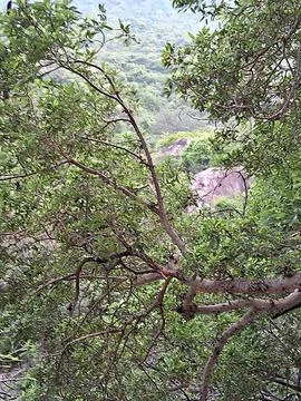 Nature  Stock Photos