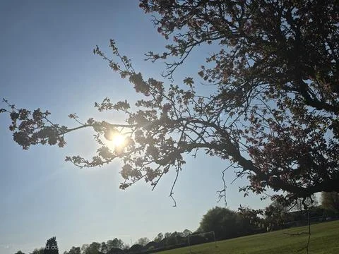 Nature Stock Photos